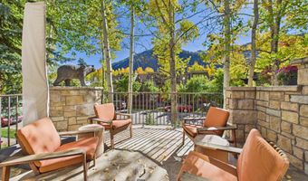 914 E Cooper Ave, Aspen, CO 81611