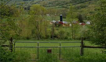 2400 Gladstone Hollow Rd, Andes, NY 13731