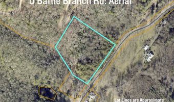 Battle Branch Rd NA, Bryson City, NC 28713