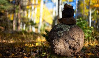 1 The Ranch At Angel Fire, Angel Fire, NM 87710