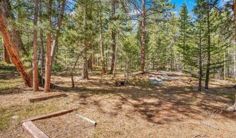 251 Haugen Slide Rd, Allenspark, CO 80510