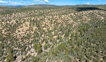 Canoncito Lane Turley Mill Lot 7, Arroyo Hondo, NM 87513