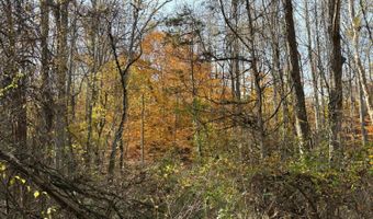 9- B Dulwich Dr, Amherst, VA 24521