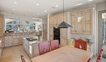 990 E Hopkins Ave, Aspen, CO 81611