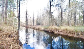 123 Westover Dr, Adel, GA 31620