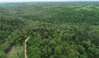 Twin Fork DR, Bergman, AR 72615