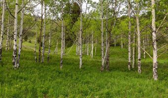 Trail Creek Road Lot 3, Bozeman, MT 59715