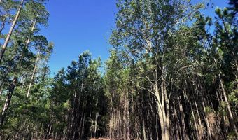 Jarvis Landing Road, Aurora, NC 27806
