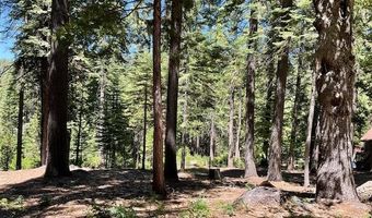 1619 Shoshone Dr, Arnold, CA 95223