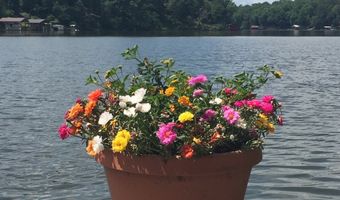 1771 Snow Lake Dr, Ashland, MS 38603