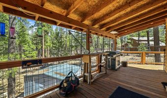 18 County Rd 2120, Alpine, AZ 85920