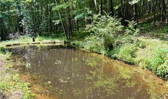 253 Davis Hollow Rd, Andes, NY 13731