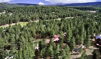 21 Trevino Cir, Angel Fire, NM 87710
