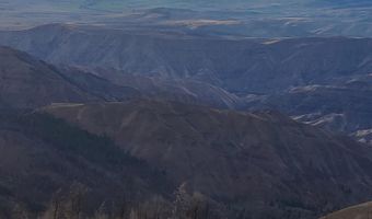 00 Cuddy Mountain Mineral Land, Cambridge, ID 83610