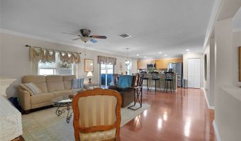 2388 Yellow Grass Ct, Apopka, FL 32712