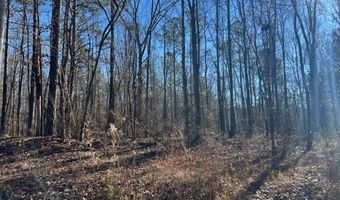 Creek Road, Ashland, AL 36251