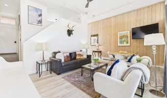 311 S Aspen St 3, Aspen, CO 81611