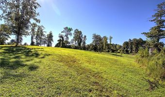 3931 Upper Bethany Rd, Ball Ground, GA 30107