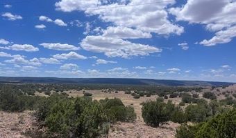 41 Indian Drive CR 8062, Concho, AZ 85924
