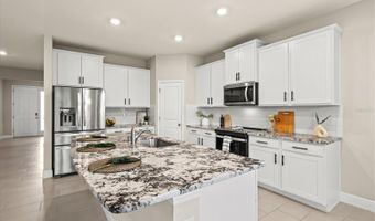 157 BRIGHT IBIS Ave, Apollo Beach, FL 33572