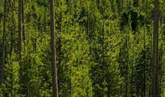 Mitchell Lane lot 8 Tbd, Anaconda, MT 59711