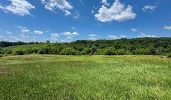 205 Th Trl, Albia, IA 52531