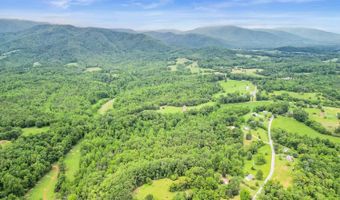 687 Gidsville Rd, Amherst, VA 24521