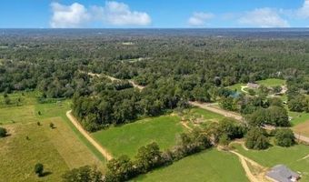 3 431 Acres HIGHWAY 16 None, Amite, LA 70422