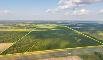Mann Road, Arabi, GA 31712