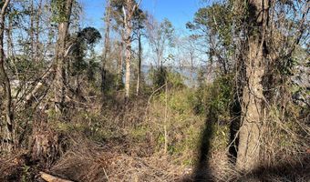 TBD Lakeshore Drive, Abbeville, AL 36310
