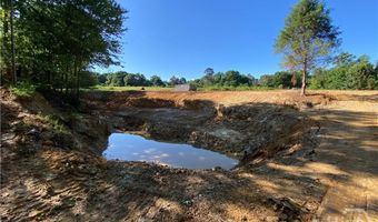 Tract 2 Hwy 51S, Homer, GA 30547