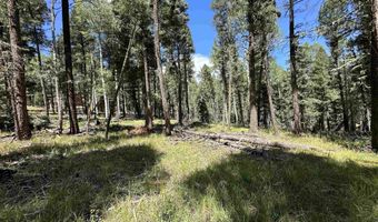 Lot 10 Alpine Lake Terrace, Angel Fire, NM 87710