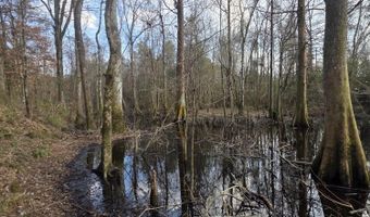 U.S. Highway 51, Bogue Chitto, MS 39629