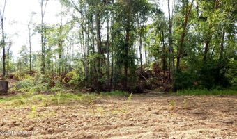 590 County Road 247, Bruce, MS 38915