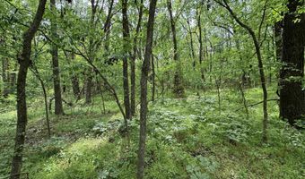 Tract 1 East Bay Road, Atkins, AR 72823