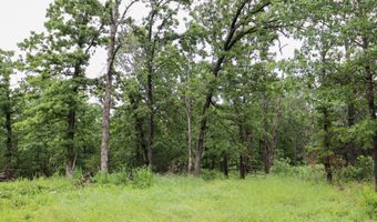 14 5 Neil Robinson Rd, Anderson, MO 64831