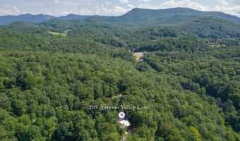 205 Autumn Valley Ln, Scaly Mountain, NC 28775