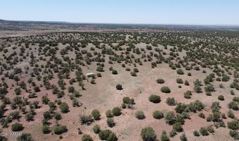 006 N8604, Concho, AZ 85924