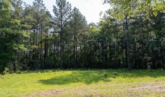 10 AC +/- Gravel Pit Lake Rd, Beaumont, MS 39423
