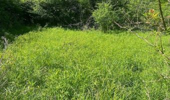 Townline Road, Angelica, NY 14709