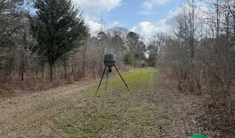 W Factory St, Amite, LA 70422
