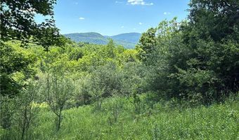 2636 Murphy Hill Rd, Andes, NY 13731