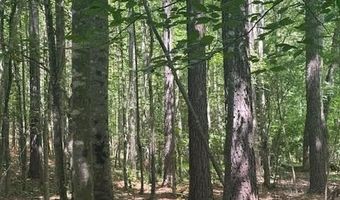 0- Lot 5 Piney Mountain Rd, Appomattox, VA 24522