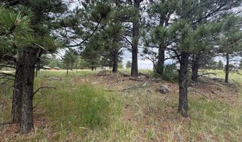 Whymans Black Lake Estates lot 39, Angel Fire, NM 87710