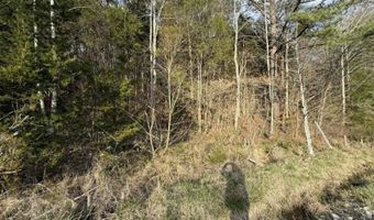 5 Acres Hwy 415, Albany, KY 42602