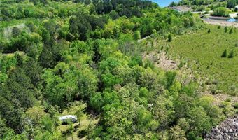 32847 Lilypad Landing Dr, Walker, MN 56433