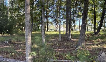 338 Southern Way Lot 61 W/ Boat Slip #3, Arapahoe, NC 28510
