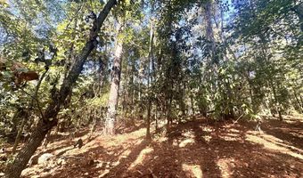 0 Highway 3, Blackville, SC 29817