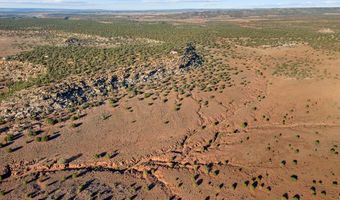77 CR N8604, Concho, AZ 85924