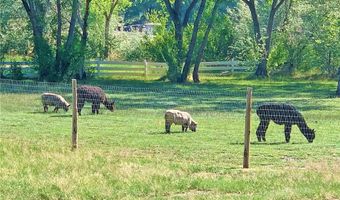 71 County Road 155, Abiquiu, NM 87510